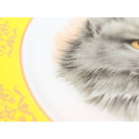 White Porcelain Cat Portrait Plate | Kitty Picture Yellow Border Collectible 10" - Picture 4 of 10